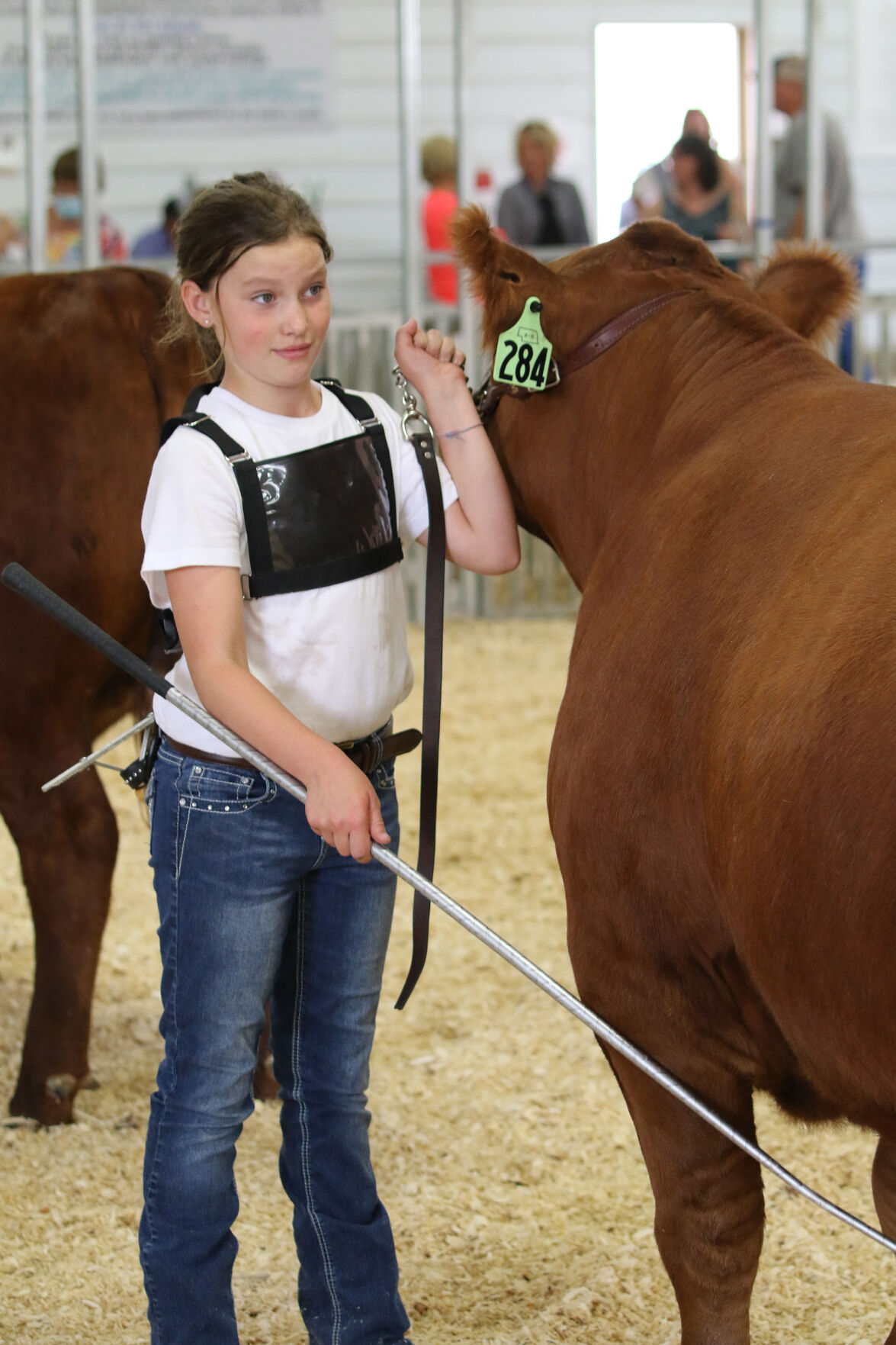 PHOTOS: Market Beef Show 2020